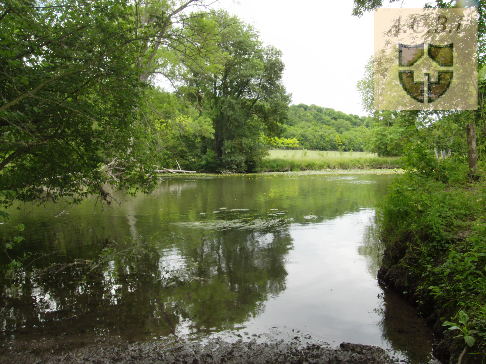 vente RARE TERRAIN BORD DE LOIR AVEC 2 ILES