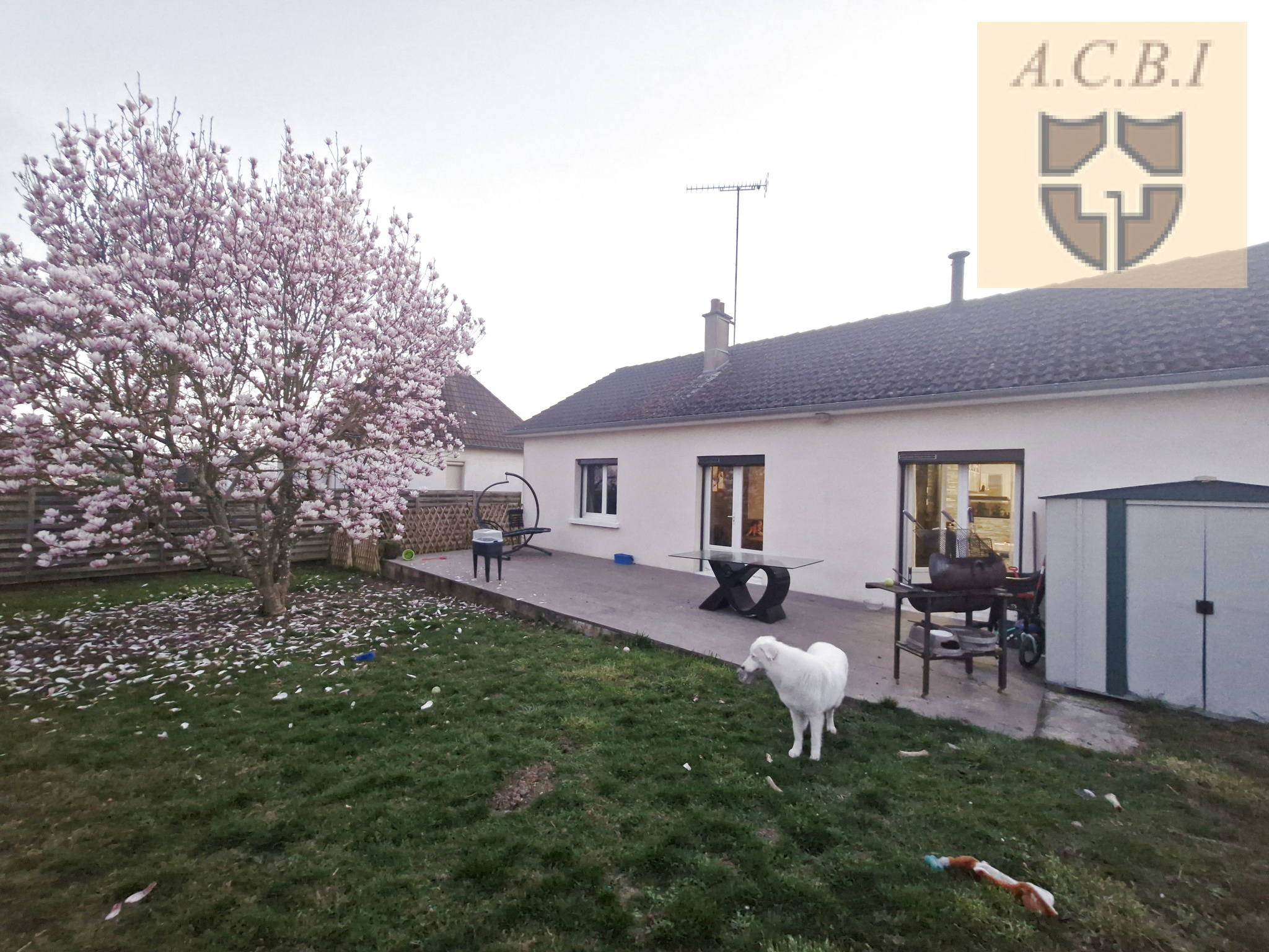 Agence immobilière de A.C.B.I. AGENCE CHRISTINE BOYER IMMOBILIER